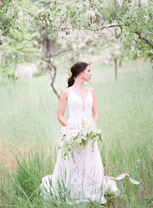 Spokane blush by Hayley Paige Delta wedding dress photo shoot in black locust trees