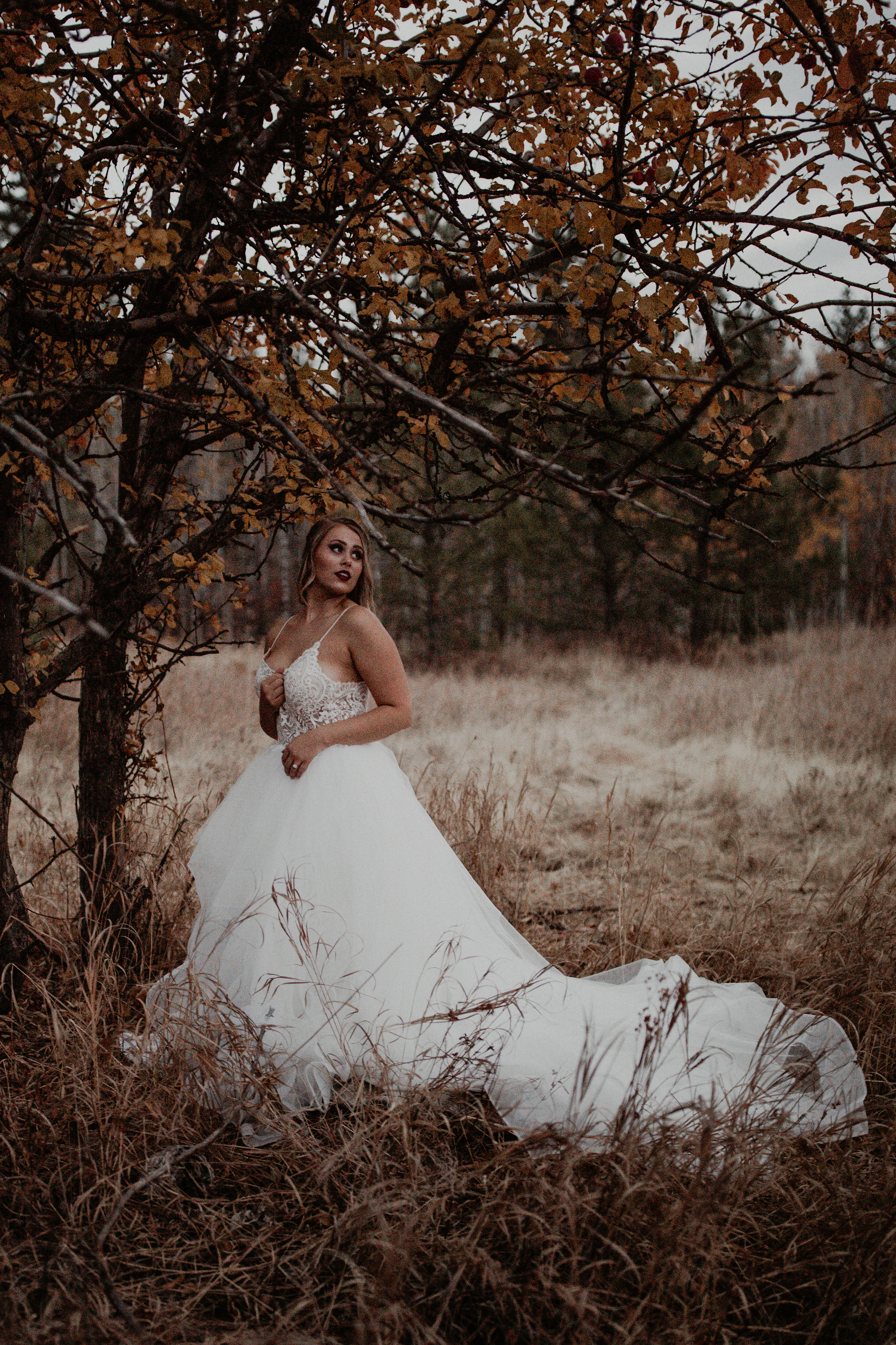 bridal gown under tree spokane image